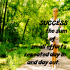 How to Set S.M.A.R.T.E.R. Goals (Part 6): T is for “Track Your Progress”